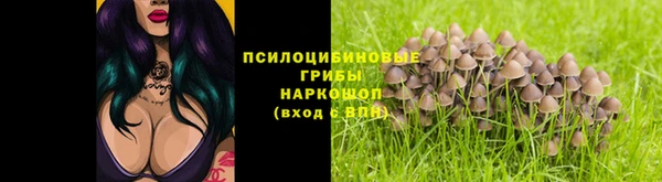 винт Арсеньев